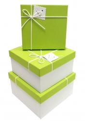 Набор подарочных коробок А-92316-11 (Салатовый)