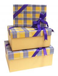Набор из трёх прямоугольных подарочных коробок в клеточку жёлтого цвета с бантом, размер 29*22*13 см.