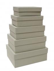 Набор из пяти прямоугольных подарочных коробок светло-серого цвета, отделка матовой фактурной бумагой, размер 21*16*8 см.