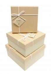 Набор подарочных коробок А-92301-72 (Крем-брюле)